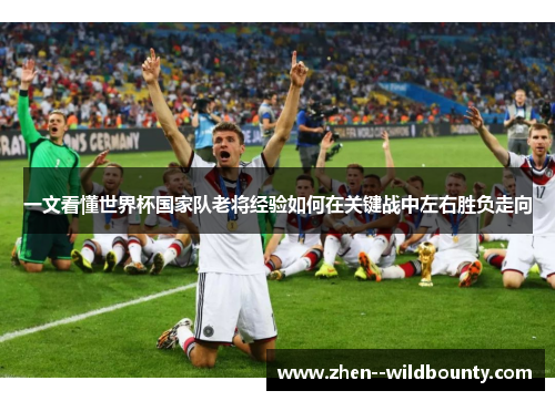 一文看懂世界杯国家队老将经验如何在关键战中左右胜负走向